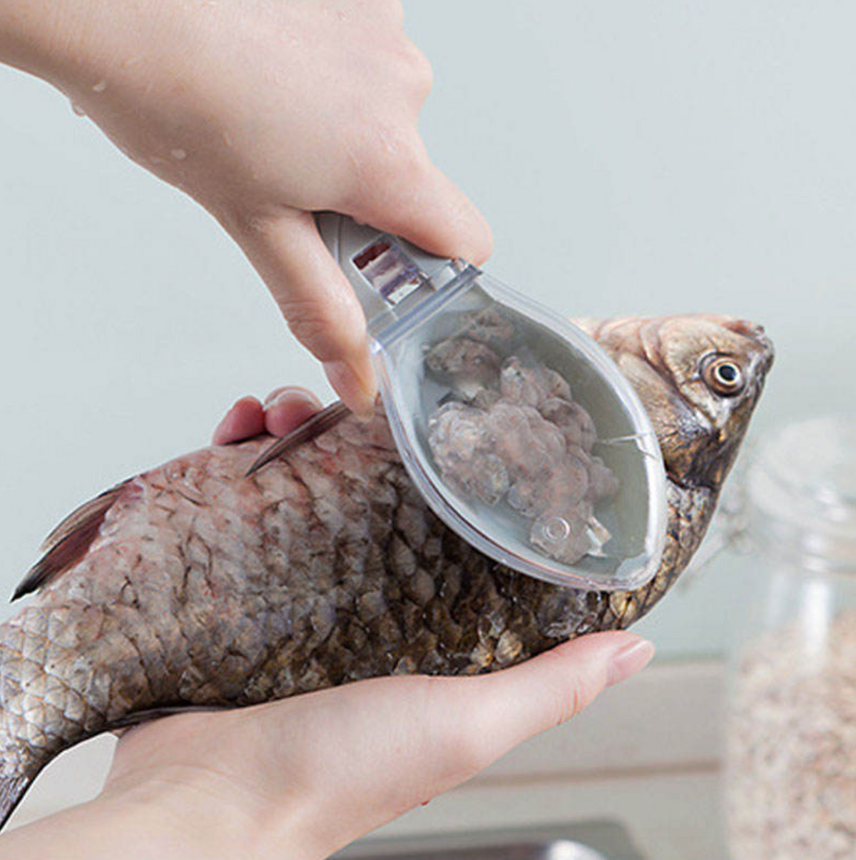 Multifunctional Fish Scale Scraper